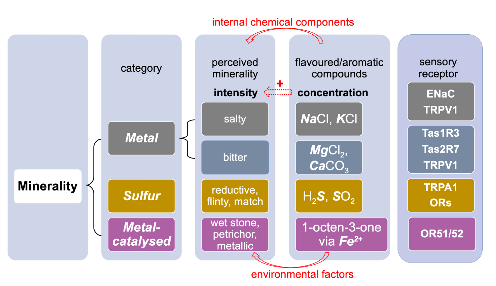The science of minerality